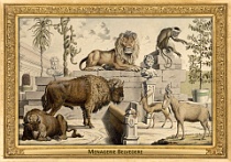 0010-007-02 Menagerie Belvedere Landstraße (now in Wien) (AT) Salomon Kleiner, 1734