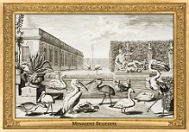 0011-007-03 Menagerie Belvedere Landstraße (now in Wien) (AT) Salomon Kleiner, 1734