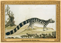 0023-015-02 Menagerie Het Kleine Loo Voorburg (now in Haag) (NL) Robert Jacob Gordon, 1777 - 1786