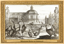 0039-002-03 Ménagerie Royale de Versailles Versailles (FR) Gérard Scotin, 1670 - 1674