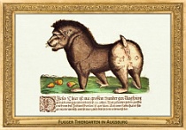 0043-020-01 Fugger Thiergarten in Augsburg Augsburg (DE) neznámý autor • unknown author, 1554