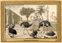 0060-007-09 Menagerie Belvedere Landstraße (now in Wien) (AT) Salomon Kleiner, 1734