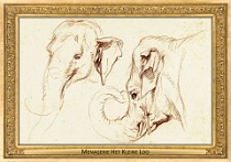 0068-015-09 Menagerie Het Kleine Loo Voorburg (now in Haag) (NL) Petrus Camper, ~1786