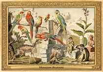 0076-007-11 Menagerie Belvedere Landstraße (now in Wien) (AT) Salomon Kleiner, 1734
