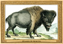 0086-015-12 Menagerie Het Kleine Loo Voorburg (now in Haag) (NL) Simon Fokke, Aert Schouman, Arnout Vosmaer, 1766 - 1805