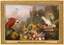 0087-019-03 Windsor Aviaries of admiral Churchill Windsor (UK) Jakob Bogdány, 1708 - 1710