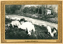 0093-027-03 Kuşluk-ı Hümâyûn Constantinople (now Istanbul) (TR) neznámý autor • unknown author, ~1905