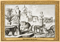 0095-007-12 Menagerie Belvedere Landstraße (now in Wien) (AT) Salomon Kleiner, 1734
