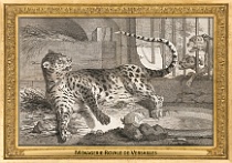 menagerie_0121_(002-11)