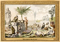 menagerie_0125_(007-17)