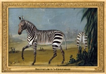 menagerie_0158_(040-01)