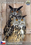 00953 (01) † Farma-park Blaník Photo: Roman Hynek©2016 výr velký evropský European eagle-owl Bubo bubo bubo