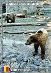 00967 (01) ZOO Timișoara Photo: Mojmír Sedláček©2012 medvěd hnědý Brown bear Ursus arctos