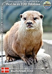 01009 (01) Munkholm ZOO Photo: Roman Hynek©2021 vydra malá Oriental small-clawed otter Aonyx cinerea