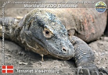 01013 (01) Terrariet Vissenbjerg Photo: Roman Hynek©2021 varan komodský Komodo dragon Varanus komodoensis