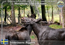 01022 (01) Söderåsens Älgpark Photo: Roman Hynek©2021 los evropský Elk Alces alces