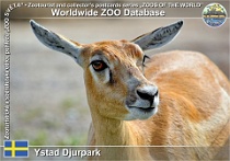 01030 (01) Ystad Djurpark Photo: Roman Hynek©2021 antilopa jelení Blackbuck Antilope cervicapra