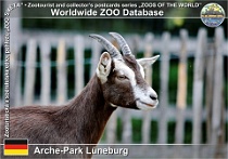 01043 (01) Arche-Park Lüneburg Photo: Roman Hynek©2021 duryňská lesní koza Thuringian Forest Goat Capra aegagrus f. hircus "Thüringer Waldziege"