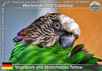 01050 (01) Vogelpark und Streichelzoo Teltow Photo: Roman Hynek©2021 amazoňan vějířový Red-fan parrot Deroptyus accipitrinus