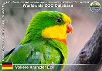 01059 (01) Voliere Kranzler Eck Photo: Roman Hynek©2021 papoušek nádherný Superb parrot Polytelis swainsonii