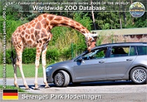 01063 (01) Serengeti Park Hodenhagen Photo: Roman Hynek©2021 žirafa severní Northern giraffe Giraffa camelopardalis