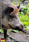 01064 (01) Wildgehege Volkspark Rehberge Photo: Roman Hynek©2021 prase divoké evropské Central European wild boar Sus scrofa scrofa