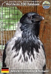 01068 (01) Naturschutzstation Neschwitz Photo: Roman Hynek©2012 vrána šedá evropská Northern hooded crow Corvus cornix cornix