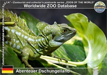01069 (01) Abenteuer Dschungelland Photo: Roman Hynek©2021 bazilišek zelený Green basilisk Basiliscus plumifrons