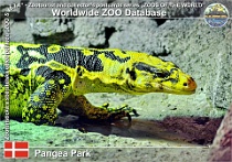 01087 (01) Pangea Park Photo: Roman Hynek©2021 varan "Cumingův" Cuming's water monitor Varanus cumingi