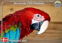 01097 (01) PapegøjeLand Photo: Roman Hynek©2021 ara zelenokřídlý Green-winged macaw Ara chloropterus