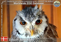 01099 (01) Zoopark Sydsjælland Photo: Roman Hynek©2021 výreček bělolící White-faced owl Ptilopsis leucotis