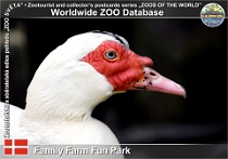 01101 (01) Family Farm Fun Park Photo: Roman Hynek©2021 pižmovka domácí Domestic muscovy duck Cairina moschata f. domestica