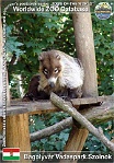 01108 (01) Bagolyvár Vadaspark Szolnok Photo: Roman Hynek©2017 nosál bělohubý White-nosed coati Nasua narica