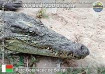 01110 (01) Parc Botanique de Saïadi Photo: Roman Hynek©2005 krokodýl nilský Nile crocodile Crocodylus niloticus