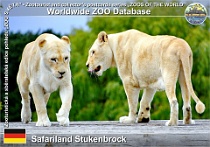 01151 (01) Safariland Stukenbrock Photo: Roman Hynek©2022 lev jihoafrický South African lion Panthera leo krugeri