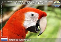 01204 (01) Orchideeën Hoeve Photo: Roman Hynek©2022 Ara arakanga Scarlet Macaw Ara macao