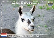 01207 (01) Kinderboerderij de Houthoeve Photo: Roman Hynek©2022 lama krotká Llama Lama guanicoe f. glama