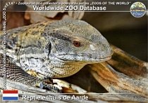 01209 (01) Reptielenhuis de Aarde Photo: Roman Hynek©2022 varan stepní Savannah monitor Varanus exanthematicus