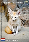 01218 (01) Mappa Mundia Photo: Roman Hynek©2022 fenek berberský Fennec fox Vulpes zerda