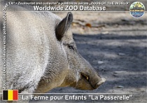 01236 (01) La Ferme pour Enfants "La Passerelle" Photo: Roman Hynek©2022 prase divoké Wild boar Sus scrofa