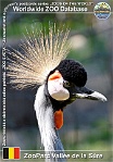 01238 (01) ZooParc Vallée de la Sûre Photo: Roman Hynek©2022 jeřáb královský Grey crowned-crane Balearica regulorum