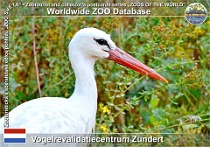 01265 (01) Vogelrevalidatiecentrum Zundert Photo: Roman Hynek©2022 čáp bílý evropský European white stork Ciconia ciconia ciconia