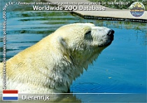 01266 (01) Dierenrijk Photo: Roman Hynek©2022 medvěd lední Polar bear Ursus maritimus
