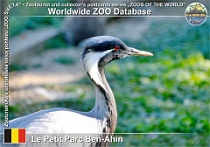 01299 (01) Le Petit Parc Ben-Ahin Photo: Roman Hynek©2022 jeřáb panenský Demoiselle crane Grus virgo