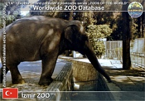 01310 (01) † İzmir ZOO (İzmir Hayvanat Bahçesi) Photo: Roman Hynek©1993 slon indický Asian elephant Elephas maximus