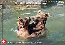 00143 (01) Natur- und Tierpark Goldau Photo: Ortwin Kratzke©2009 medvěd hnědý syrský Syrian brown bear Ursus arctos syriacus