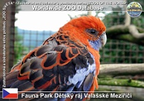00165 (01) Fauna Park Dětský ráj Valašské Meziříčí Photo: Roman Hynek©2011 rozela Pennantova Crimson rosella Platycercus elegans