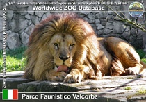 00821 (01) Parco Faunistico Valcorba Photo: Jiří Vetter©2019 lev Lion Panthera leo