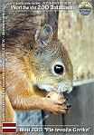 00869 (01) Mini ZOO "Pie tevoča Garika" Photo: Roman Hynek©2018 veverka obecná Eurasian red squirrel Sciurus vulgaris