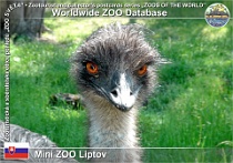 00408 (01) Mini ZOO Liptov Photo: Roman Hynek©2015 emu hnědý Emu Dromaius novaehollandiae